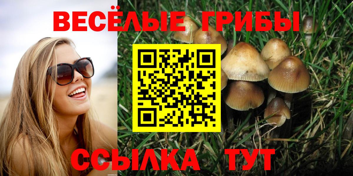 Псилоцибиновые грибы мухоморы Сосновоборск