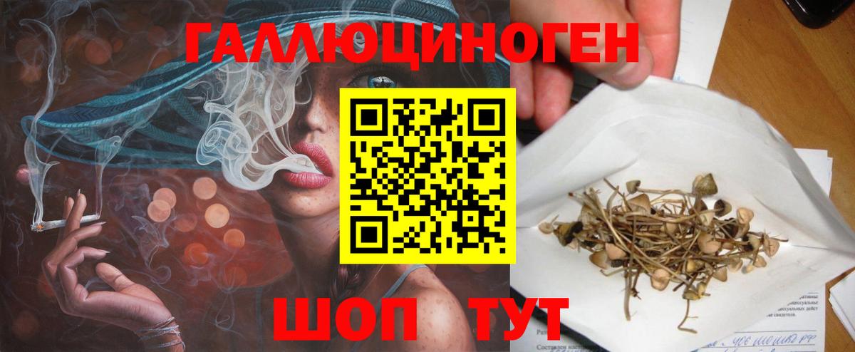 Галлюциногенные грибы ЛСД  где продают наркотики  Сосновоборск  Вход с VPN 